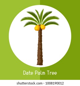 Date palm tree. Illustration of exotic tropical plant.