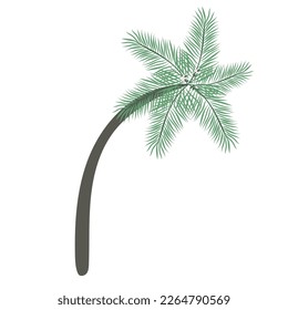 Date palm tree isolated on white background. Beautiful simple vector palm tree