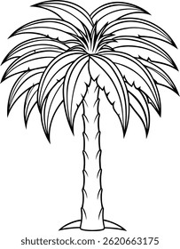 Date Palm Tree Line Art Vektor - minimale schwarz-weiße Umrissgrafik auf weißem Hintergrund