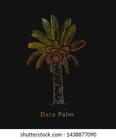 Date Palm Tree. Sketch of Dates Fruit on palm isolated on white