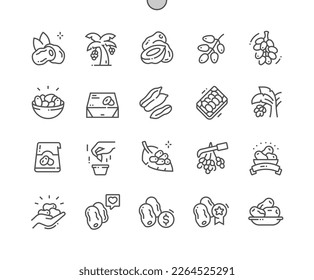 Date palm. Tropical exotic food. Date fruit package. Food shop, supermarket. Menu for cafe. Pixel Perfect Vector Thin Line Icons. Simple Minimal Pictogram