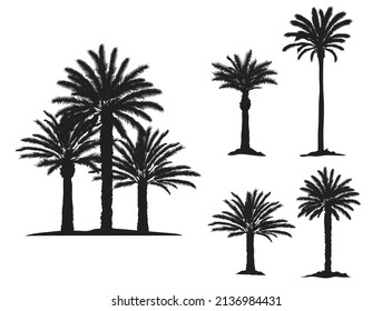 date palm tropical trees silhouette vector set