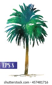 Date palm. Vector freehand drawing in vintage style .