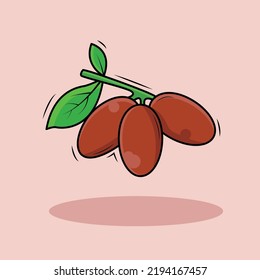Date-plum fruit are a fruit that comes from the Middle East and they are very tasty and sweet