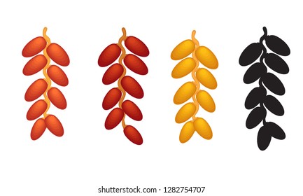 Dates branch. Different types of dates. Healthy ecological nutrition. Food for breaking. Holy month of Ramadan.1