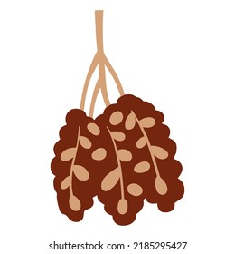 Ilustración vectorial de bifurcación de fechas. Berry de fruta seca a mano simple. La comida tradicional de Ramadán. Diseño de paquetes de mercado