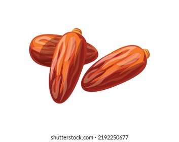 
Frutos secos a la fecha aislados en un fondo blanco. Ilustración vectorial de fechas en estilo plano. Icono de postre dulce de fecha. Aperitivos saludables. Comida vegetariana