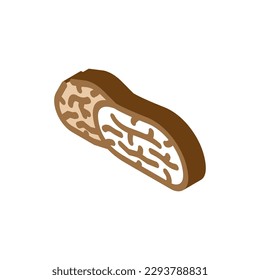 dates dried fruit isometric icon vector. dates dried fruit sign. isolated symbol illustration