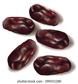 Dates. Fruit of the date palm. EPS 10 vector illustration.
