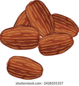 Dates Fruit Dried Vector Illustration