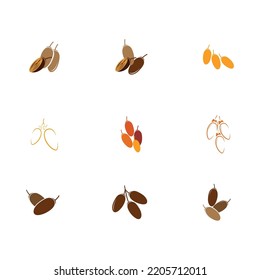 Dates Fruit logo set design, Arabian Fruit logo model