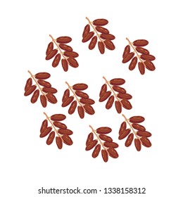 Dates Fruit Logo Vector