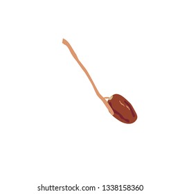 Dates Fruit Logo Vector