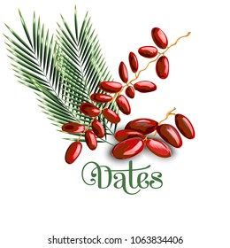 Dates fruit with olive leaves