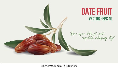 Dates fruit with olive leaves on white background. Food for symbolizing Ramadan.
