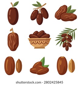 Dates fruit on tree and bowl
