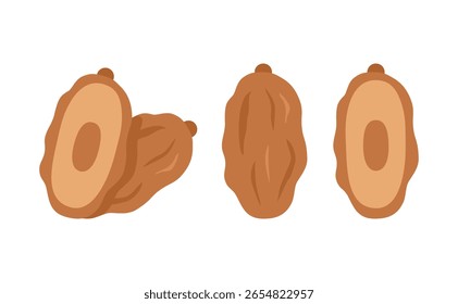 Datas Fruta: Aberta e Completa Kurma Design Ilustração Plana