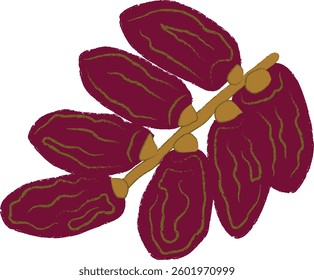 Dates fruit palm fruit or kurma vector illustration