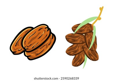 Dates fruit with palm leaves on white background. Food for symbolizing Ramadan.Vector illustration  isolated