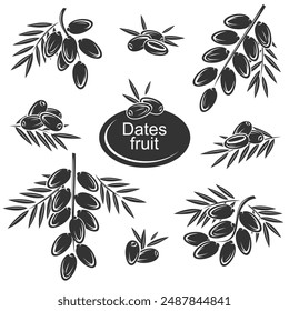 Dates fruit set. Collection icon dates fruit. Vector. Not AI-generated material