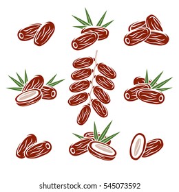 Dates Fruit Set. Vector