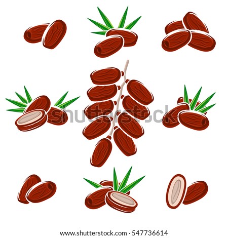 Similar – Image, Stock Photo Dry flower with fruiting in winter
