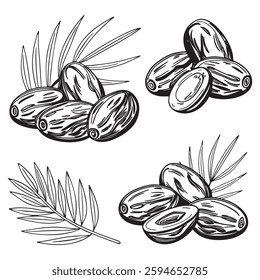 Dates Fruit Silhouette Style Set icon Vector