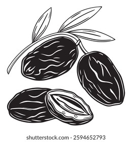 Dates Fruit Silhouette Style Set icon Vector