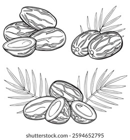 Dates Fruit Silhouette Style Set icon Vector