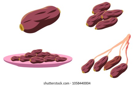 Dates Fruit. A Fruit that commonly eaten by Muslims during Iftar Ramadan Kareem, Eid El Fitr. For icon stock, magazine, cover, poster, banner, explainer video etc.
