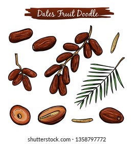 Dates Fruit Vector Illustration Collection Set. Health Summer Tropical Arabic Fruits For Ramadan Cartoon. Branch Of Dates Isolated White Background.