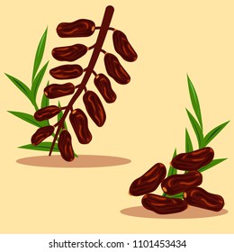 dates fruits with branch