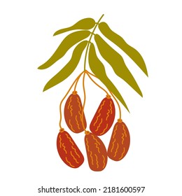Dates fruits branch hand drawn vector illustration isolated on white background. Branch of dates for food packaging design.