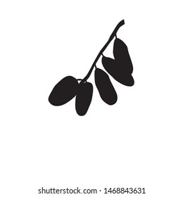 Dates Fruits Logo Vector Illustration