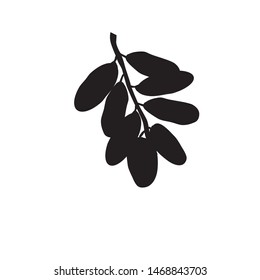 Dates Fruits Logo Vector Illustration