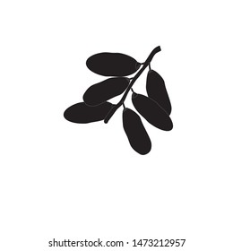 Dates Fruits Logo Vector Illustration