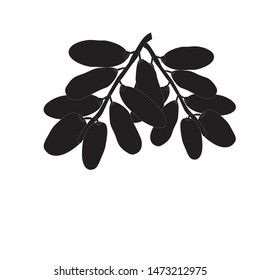 Dates Fruits Logo Vector Illustration