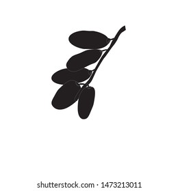 Dates Fruits Logo Vector Illustration