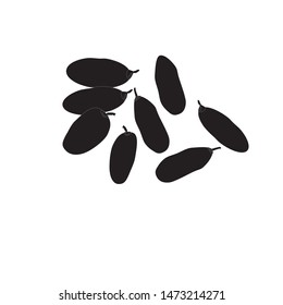 Dates Fruits Logo Vector Illustration