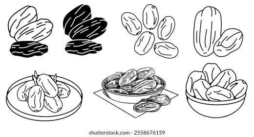 Dates or kurma, arabic fruit, vector art. Date fruit logo icon inside look isolated line icon vector illustration.