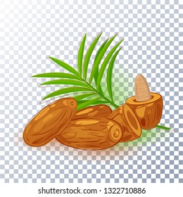 Dates logo brand design. Dates and palm leaves on a transparent background. Perfect for Ramadan illustration, packaging, iftar party. Healthy food, organic fruit and berry.1