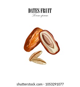 Dates with nucleuses on white background. Hand drawn Vector illustration.