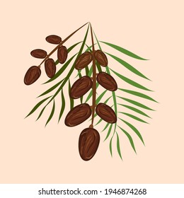 Dates palm fruit kurma vector illustration
