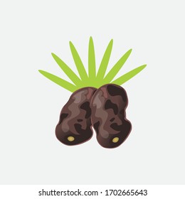 Dates Palm fruit vector illustration, isolated on white background