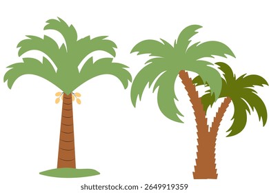 Dates palm tree - vector stock. 3d illustration of date palm tree isolated on white background.