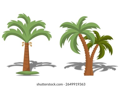 Dates palm tree - vector stock. 3d illustration of date palm tree isolated on white background.