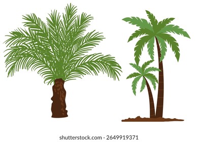 Dates palm tree - vector stock. 3d illustration of date palm tree isolated on white background.