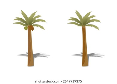 Dates palm tree - vector stock. 3d illustration of date palm tree isolated on white background.