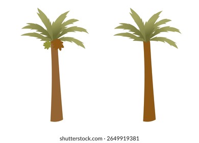 Dates palm tree - vector stock. 3d illustration of date palm tree isolated on white background.