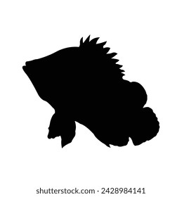 diseño de silueta vectorial de peces de datos